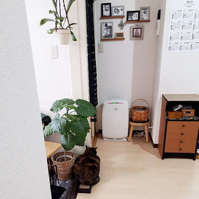 fumiyo.01さんの実例写真