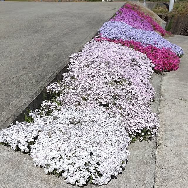 hinataさんの実例写真