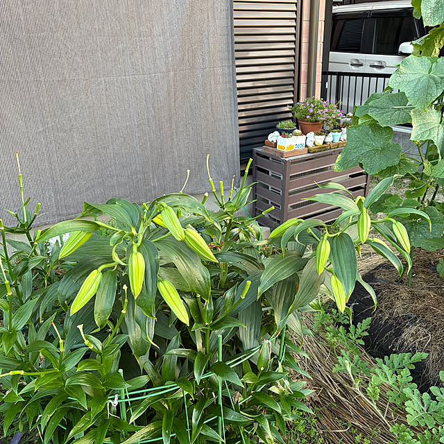 ritsukoさんの部屋