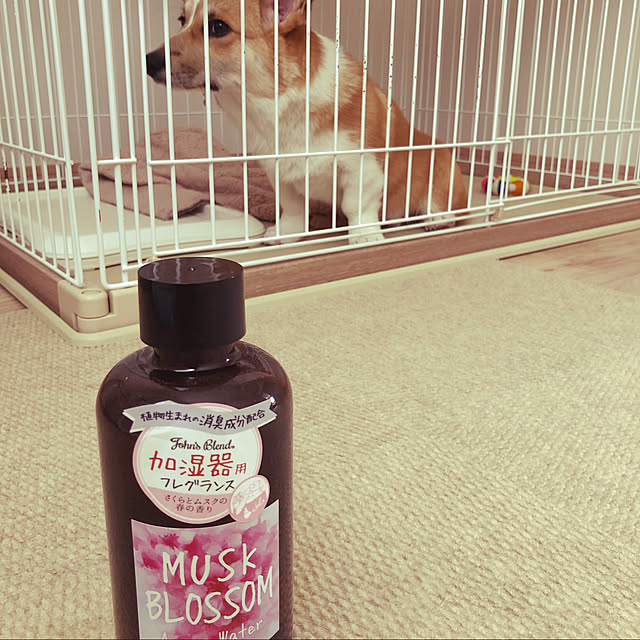Sawaさんの実例写真