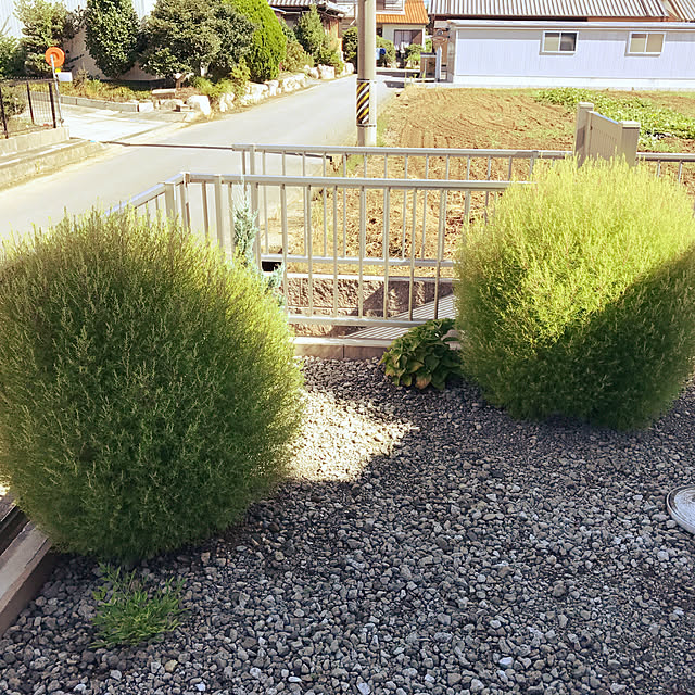 Cocoaさんの実例写真
