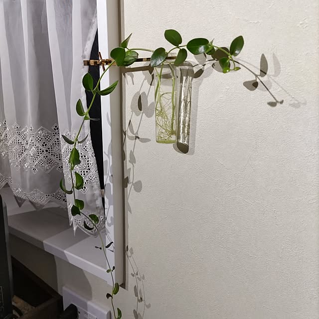 Maroさんの部屋