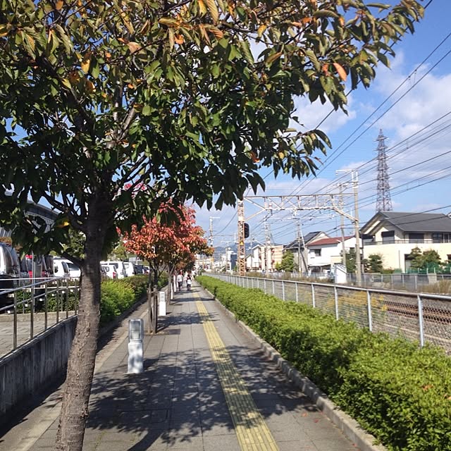 shi-tasoさんの実例写真