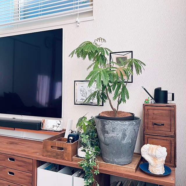 so-bokuさんの実例写真