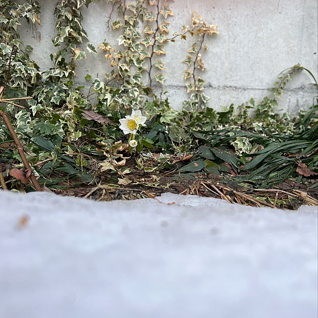 Kikko.さんの実例写真