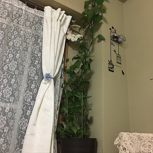 xzz929さんの実例写真