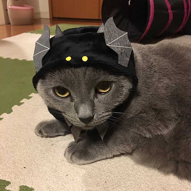ikettenさんの実例写真