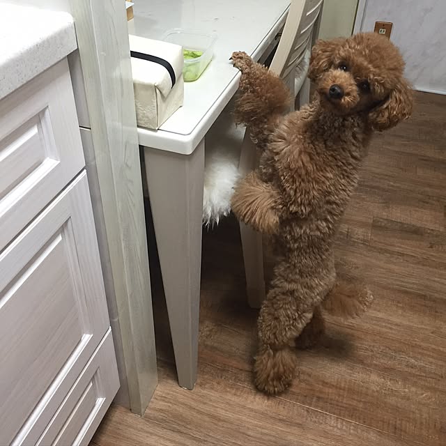 Naomiさんの実例写真