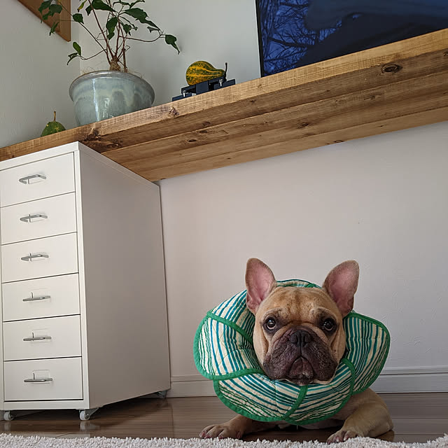 R+homeさんの実例写真