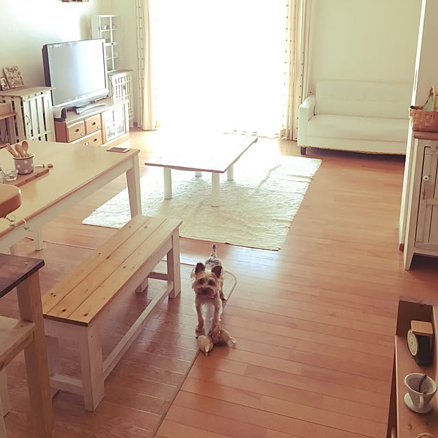 mayuoさんの実例写真