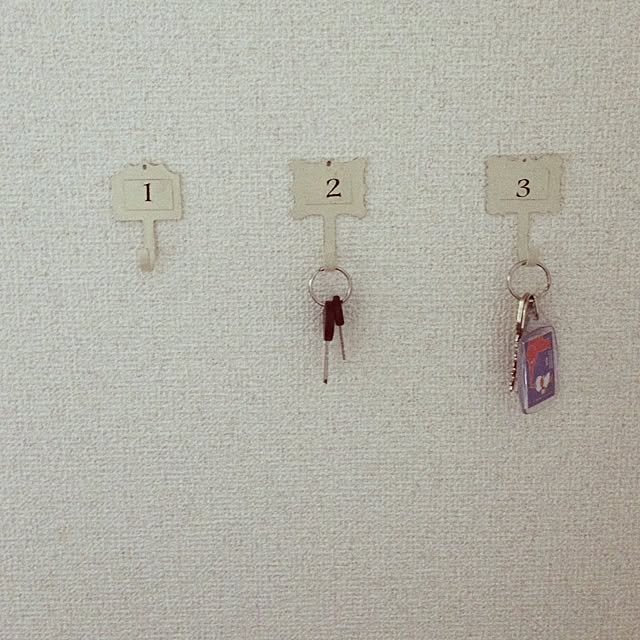 maikoさんの実例写真