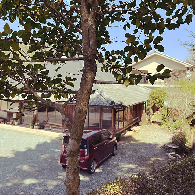 cota2さんの部屋