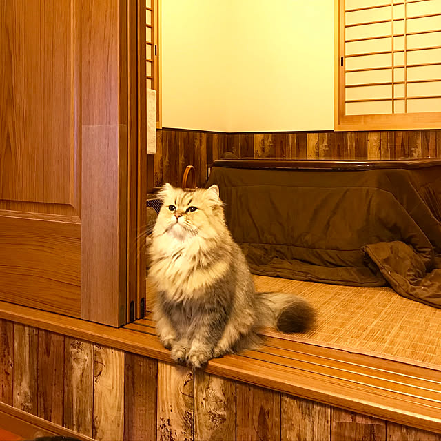butachanさんの実例写真
