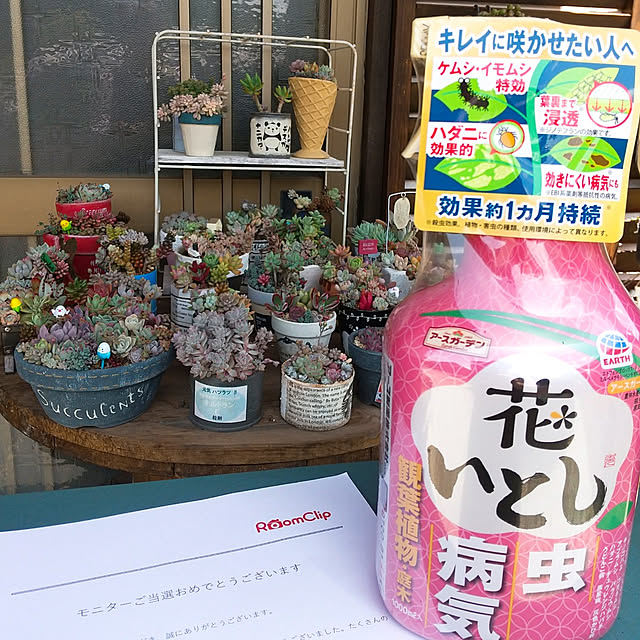 LittleMyさんの実例写真