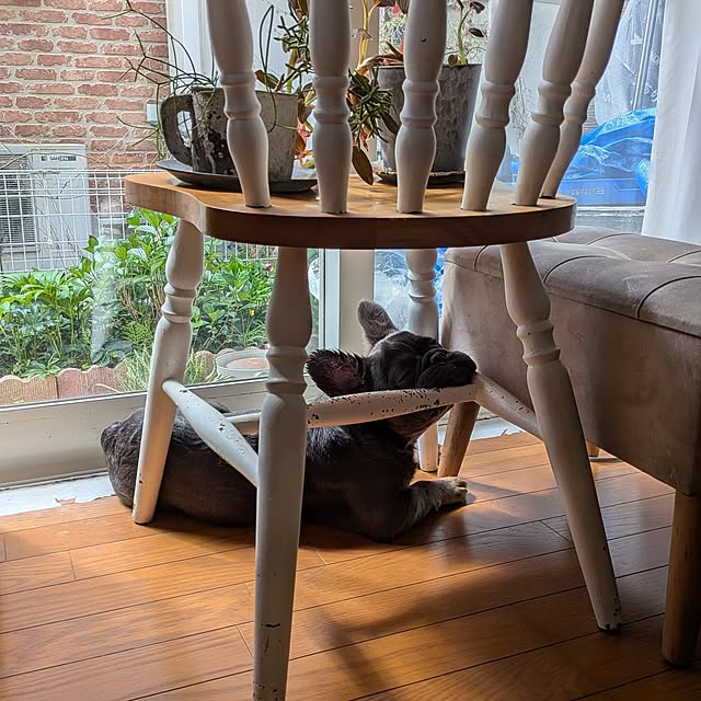 chi_gogaさんの実例写真