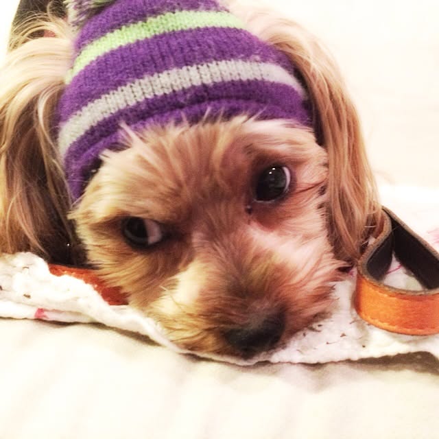 popiさんの実例写真