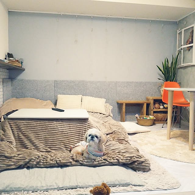 yukagomaさんの実例写真