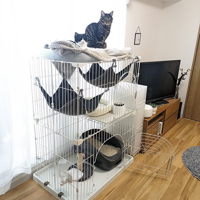 hihaさんの部屋