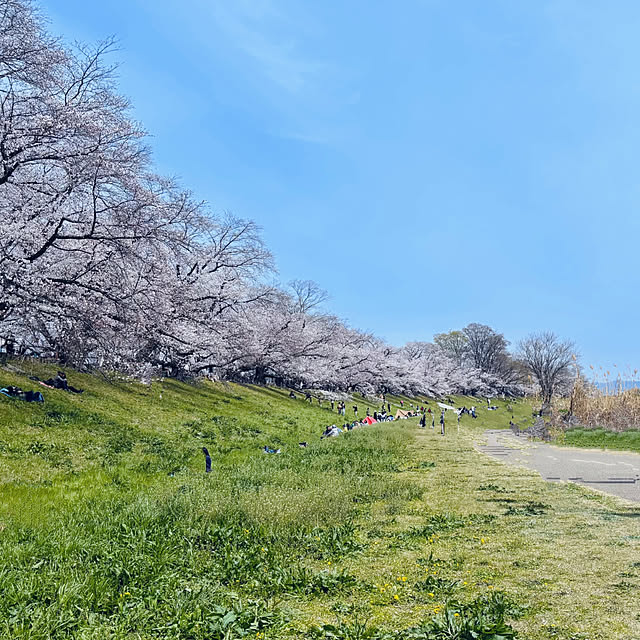 cottoncottonさんの部屋