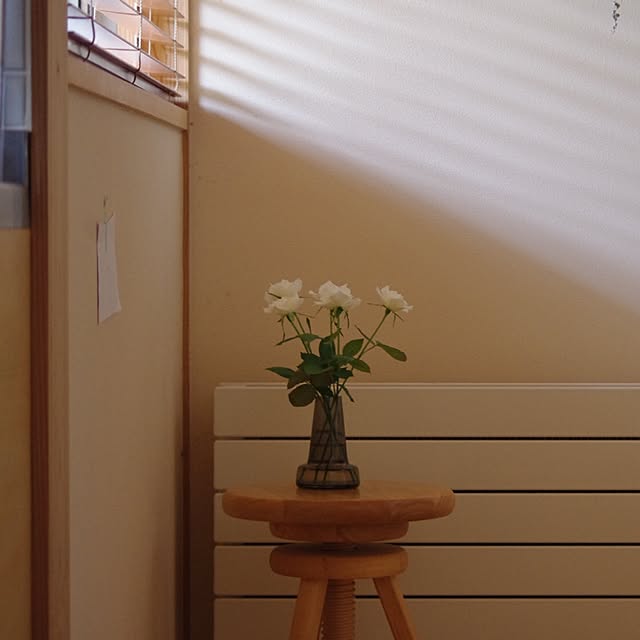 sugomoliさんの実例写真