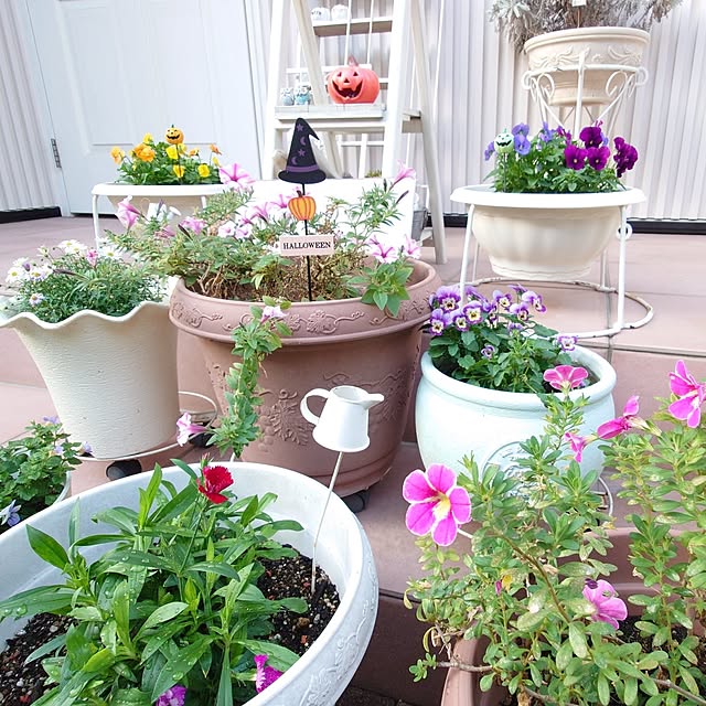 fleur-mamanさんの実例写真