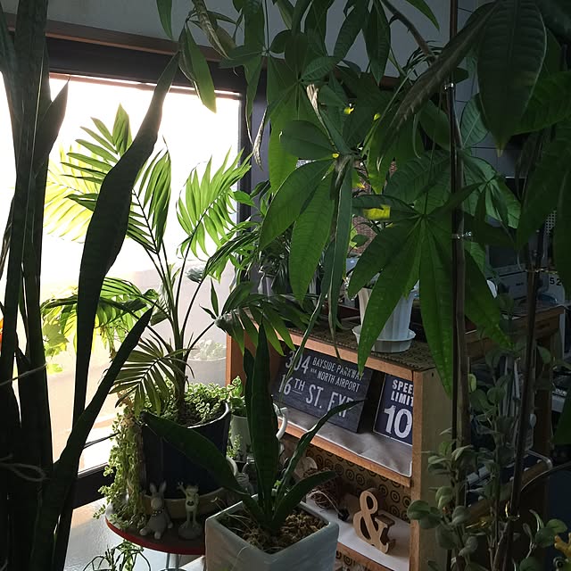 kerorinさんの実例写真