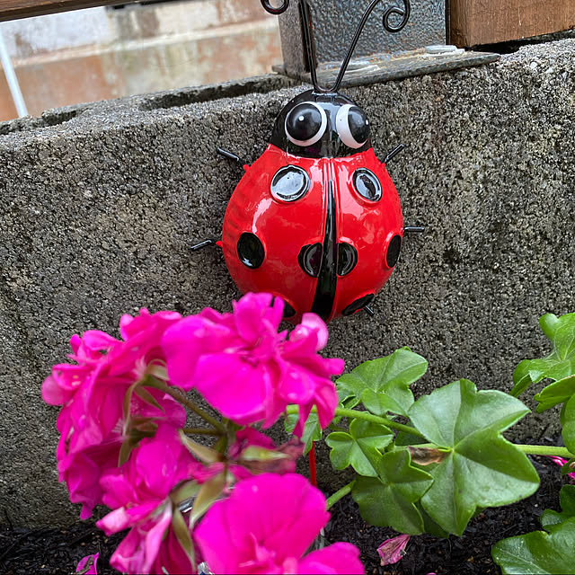 lillyさんの実例写真