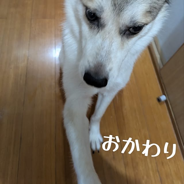 asaさんの部屋