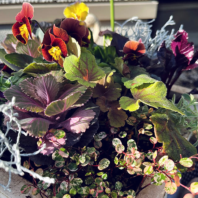 yukarin-gardenさんの実例写真