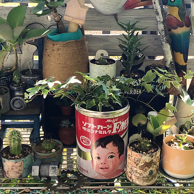 Mizueさんの実例写真