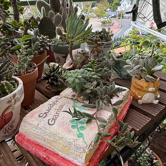 Aqettyさんの部屋