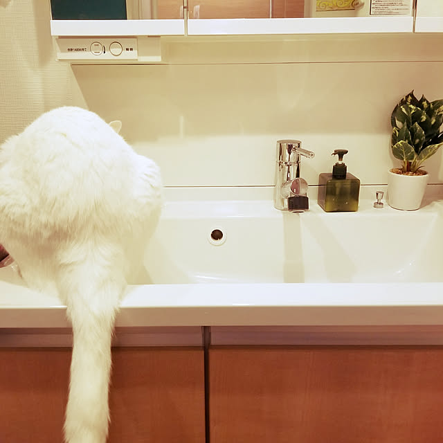 keikomokonさんの実例写真