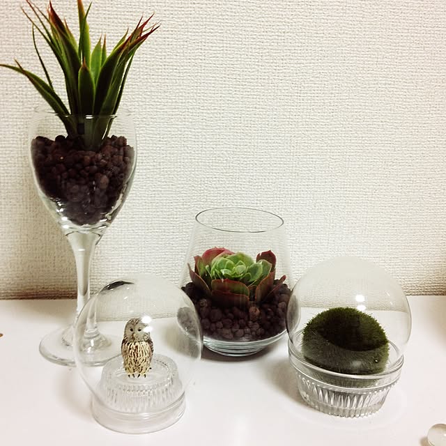 nayuta66さんの実例写真