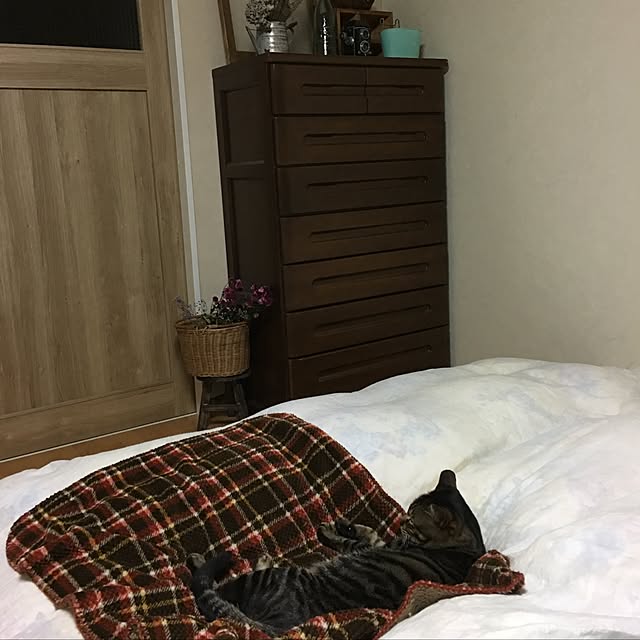 konnakanjiさんの実例写真