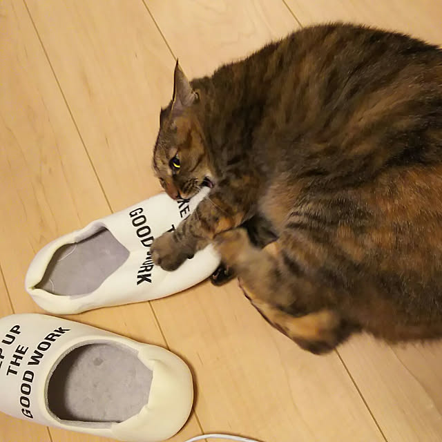 Yukoさんの実例写真