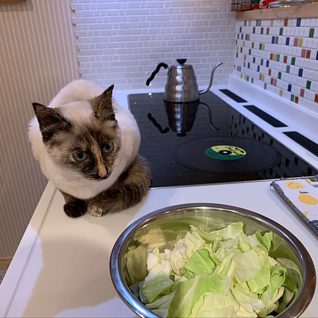 Moricさんの実例写真