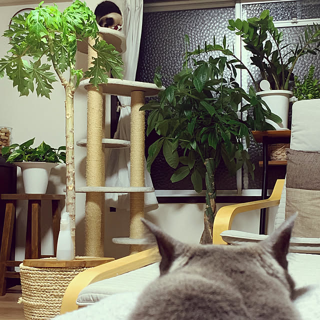73さんの実例写真