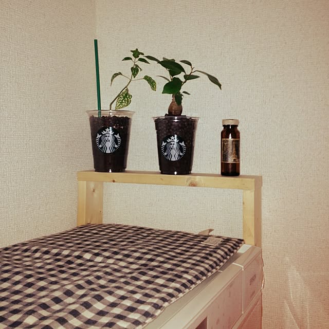 maomiさんの実例写真