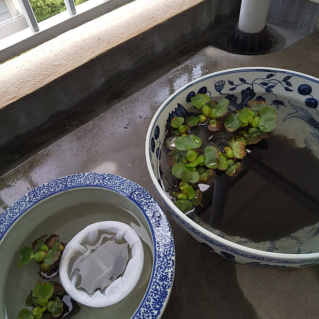 sikaさんの実例写真