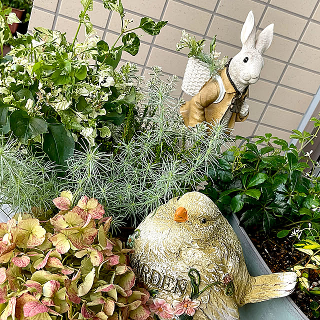 2.11maririnさんの実例写真