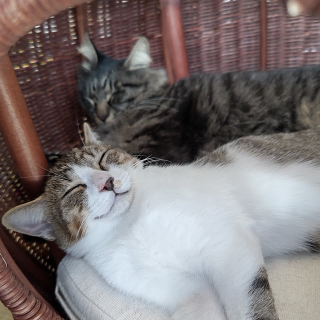 puttyさんの実例写真