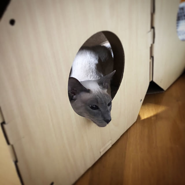 mujinekoさんの実例写真