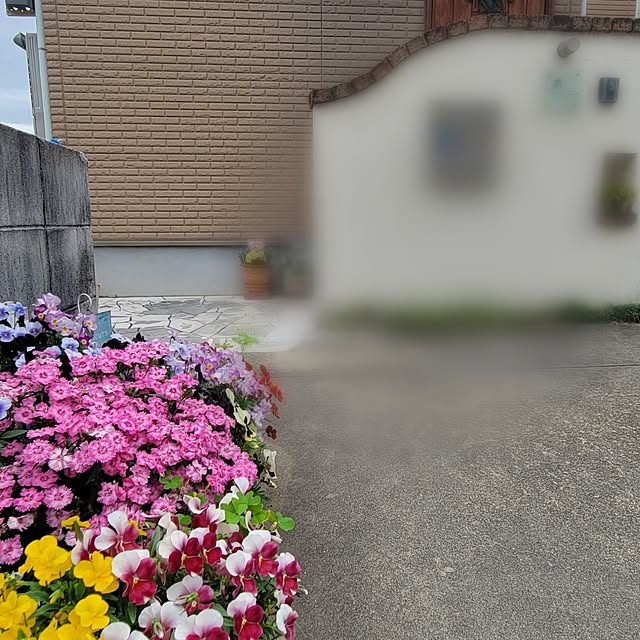 natyenaoさんの実例写真