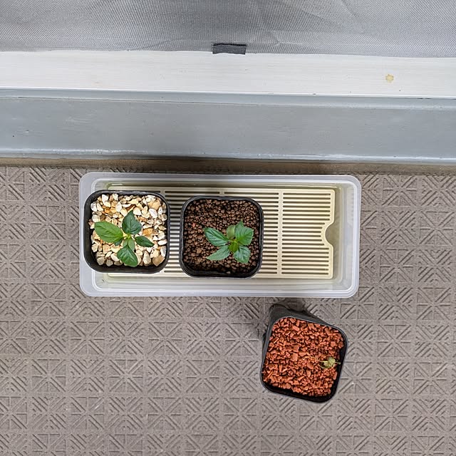 mi-saさんの部屋