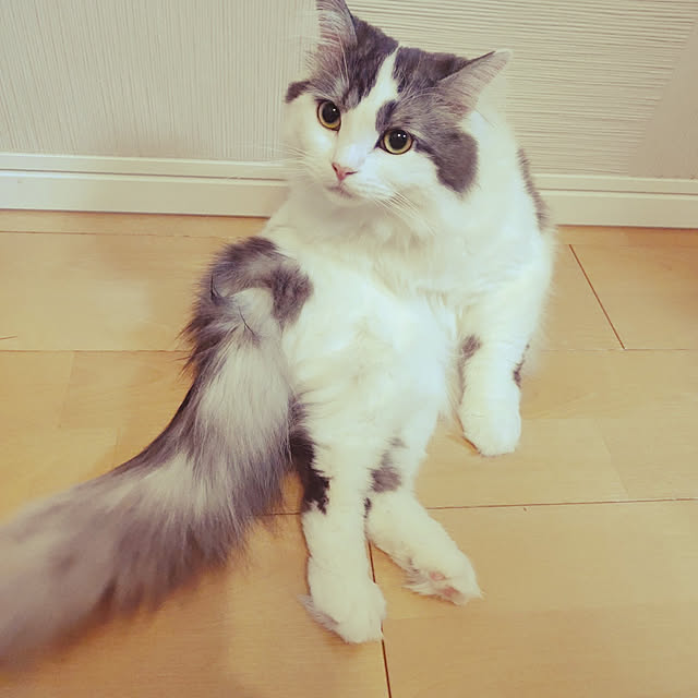 anna0615さんの実例写真