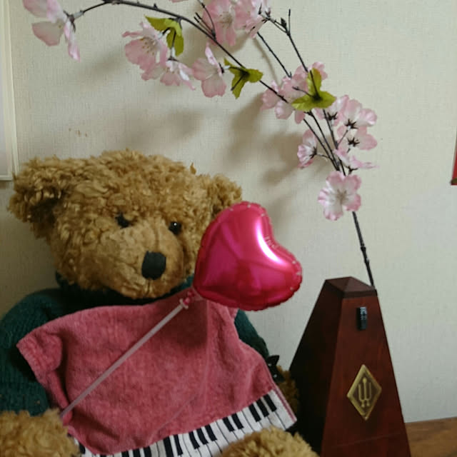 okyosan101さんの実例写真