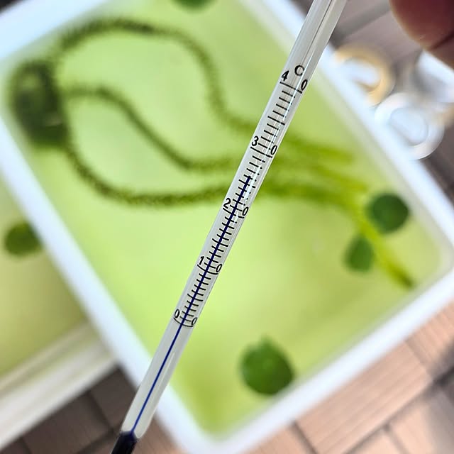 love1017さんの部屋