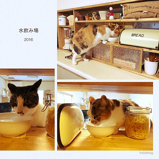 su-chanさんの実例写真