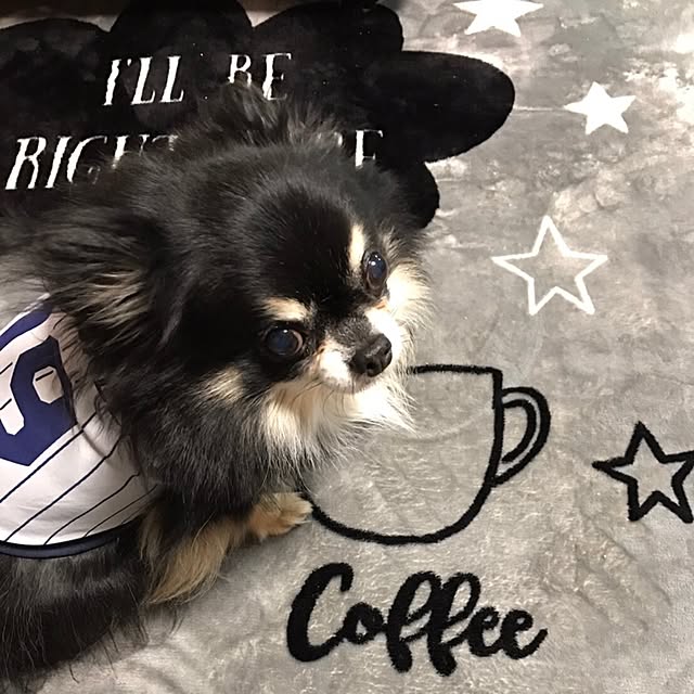 KYONさんの実例写真