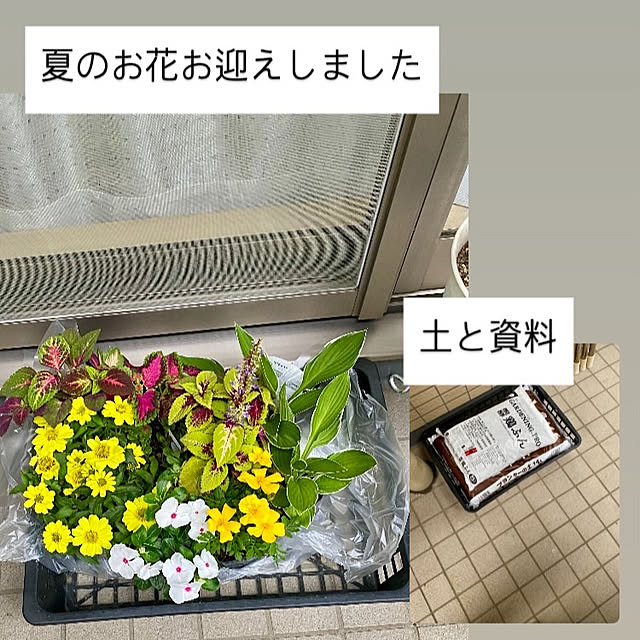 YuuKoさんの実例写真